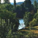 Prive Uitzicht Aan Het Water Natuur Vakantie Huis Zuid Frankrijk Rivier De Lot Nouveau Pays